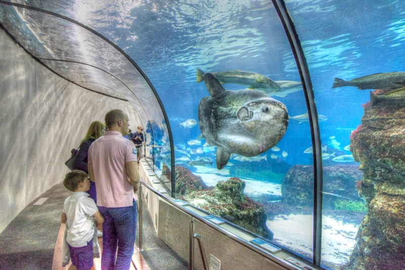 L'Aquarium, Barcelona - JA029089 (HDR)
